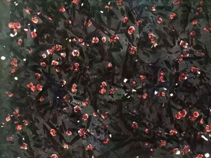 Meteorus Granite Supplier